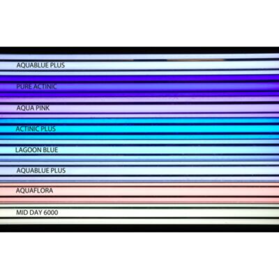 D-D ACTINIC PLUS T5 TUBE 24W 550MM